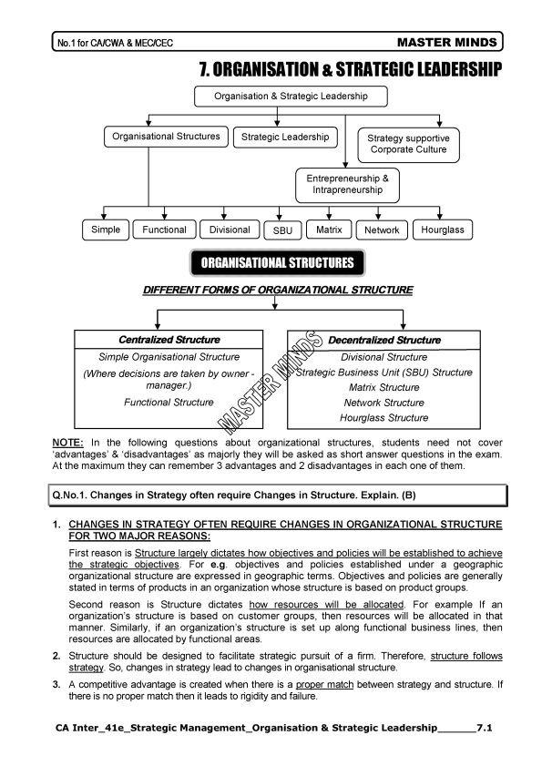 Organization and Strategic Leadership by Masterminds 