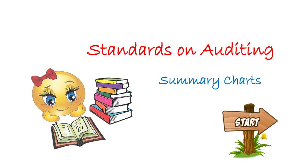 SA Revision Audit 