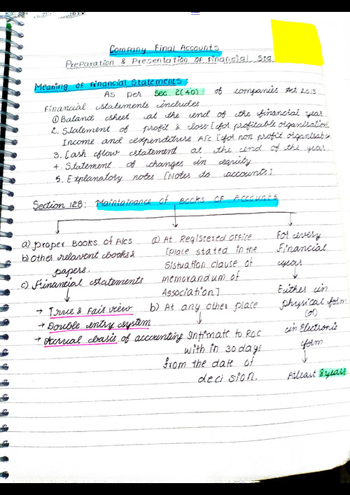 Company final account s
