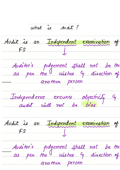 Download Ca inter audit chapter 1 Handwritten Notes - Handwritten ...