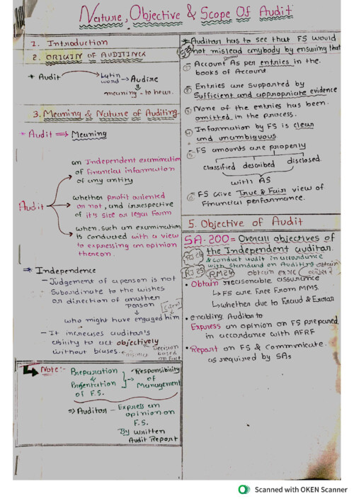 Ca inter 
Audit ch:-1,2,3,5,6,7,8,10
Combine handwritten notes easy for effective reading 
