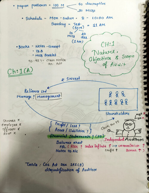 Audit nature, objective & scope of audit 
Handwritten notes

