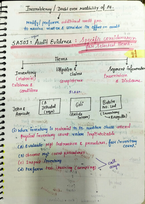 Audit handwritten notes 
SA 501
