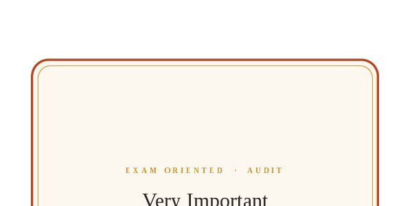 Audit writing practice 
